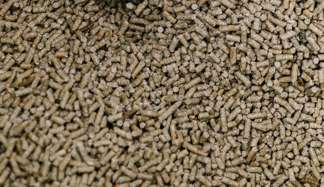 Cattle feed pellets, close detail